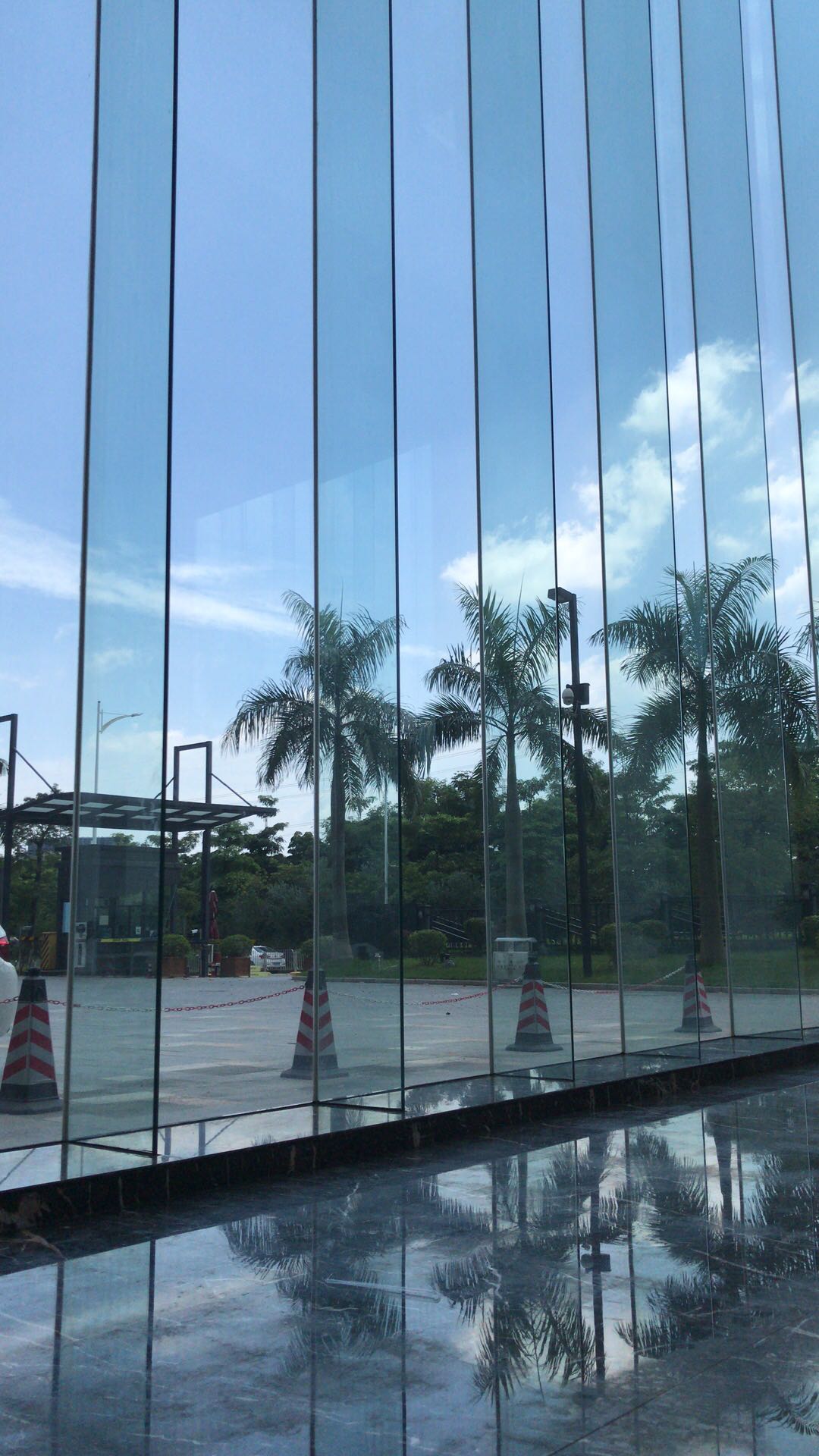 Glass fin supported glass curtain wall